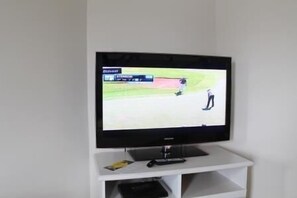 Television