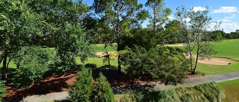 Standard Apartment, 2 Bedrooms | Garden