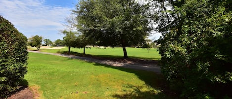 A well-maintained park with a walking path, green grass, and trees.