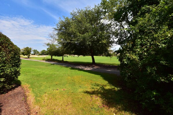 A well-maintained park with a walking path, green grass, and trees.