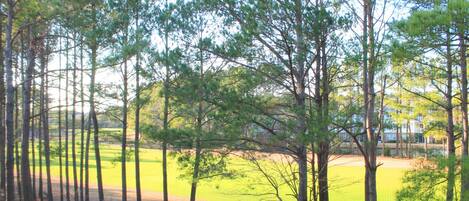 Standard Apartment, 2 Bedrooms | Property grounds