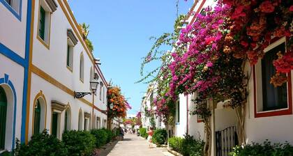 Mogan Yacht Xperience