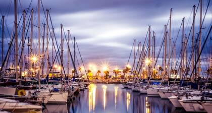 Original Sailboat Xperience