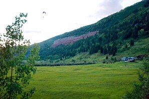 Escape to a peaceful countryside setting surrounded by lush green fields and dense trees.