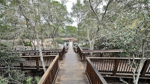 A wooden boardwalk leading through a forested area with trees on both sides. - Redfish Village M2 417 3 Bedroom Condo By Coastal Dreamin (Santa Rosa Beach)
