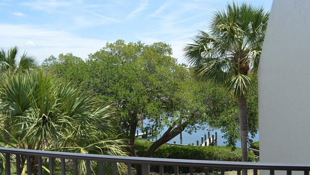 A balcony with a view of a lake and palm trees. - Cove II 832F 2 Bedroom Condo By Midnight Cove II (Siesta Key)