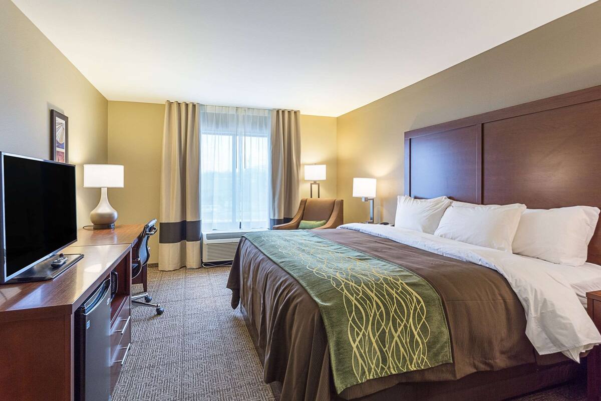 Standard Room, 1 King Bed, Non Smoking | Desk, soundproofing, iron/ironing board, WiFi (free)
