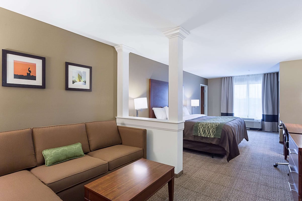 Suite, 1 kingsize bed, niet-roken | Een bureau, geluiddichte muren, een strijkplank/strijkijzer, gratis wifi