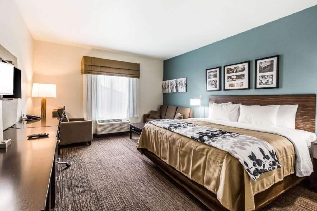 A hotel room with a bed, a desk, a chair, a TV, and a window with curtains.