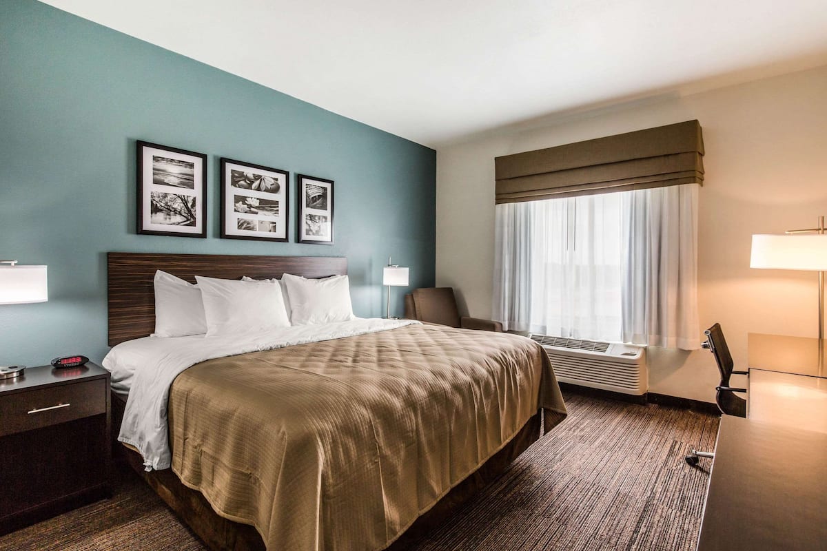 A hotel room with a large bed, a nightstand, a desk, a chair, and a window with curtains.