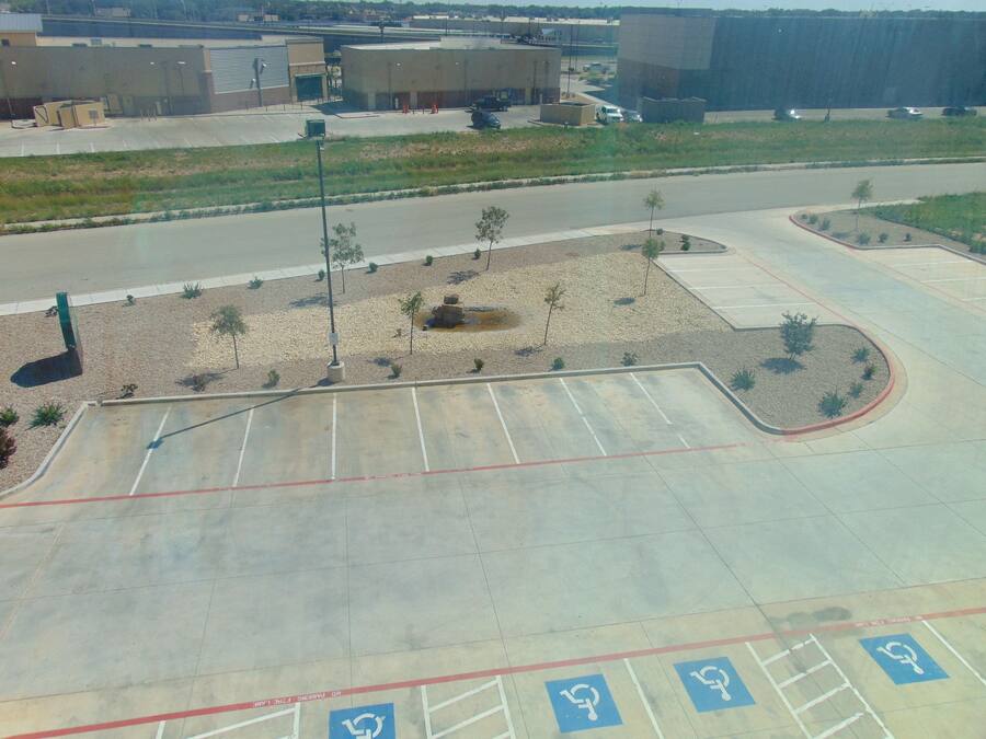 A parking lot with handicapped parking spaces and a few trees.