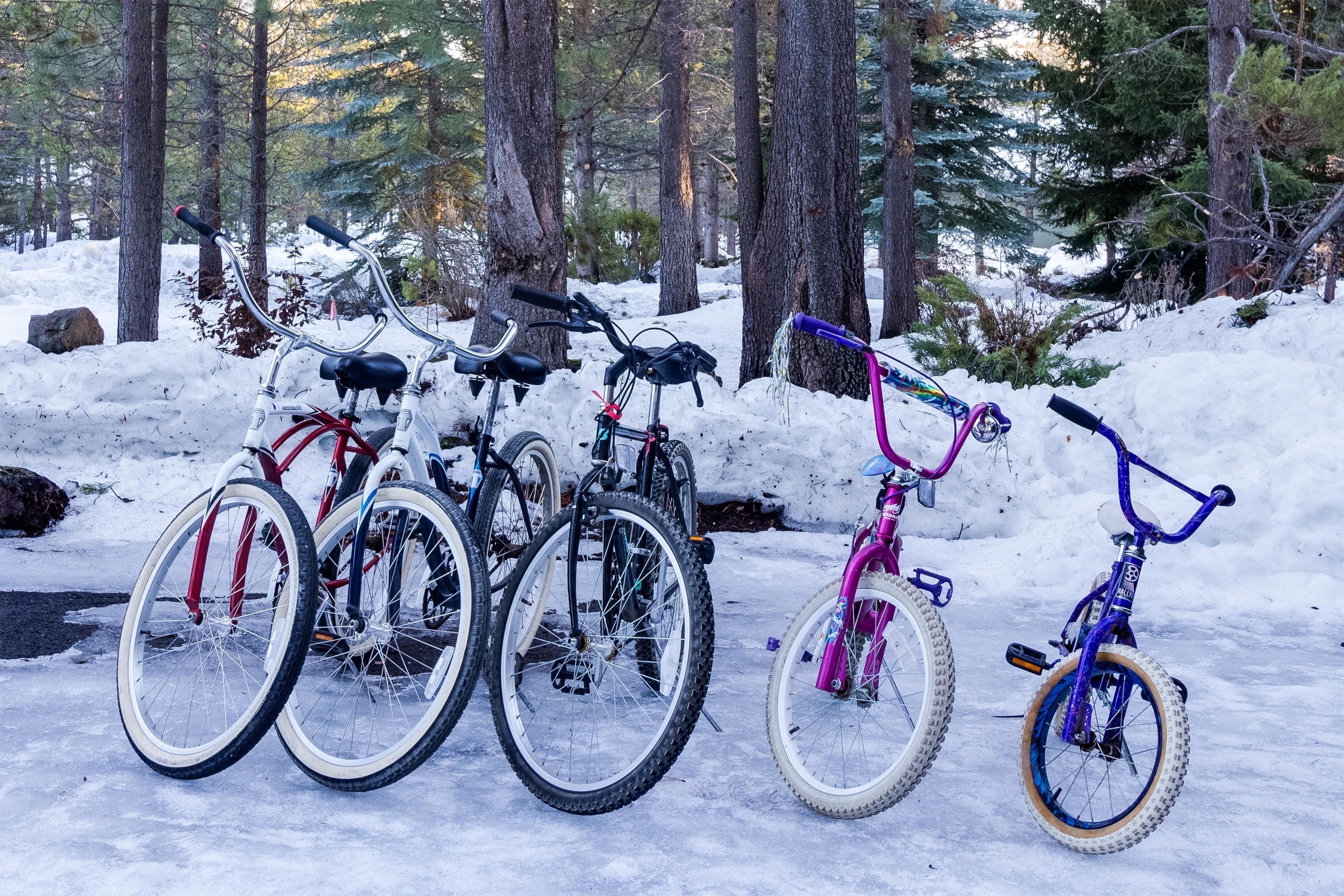 Four bicycles parked in a snowy forest.