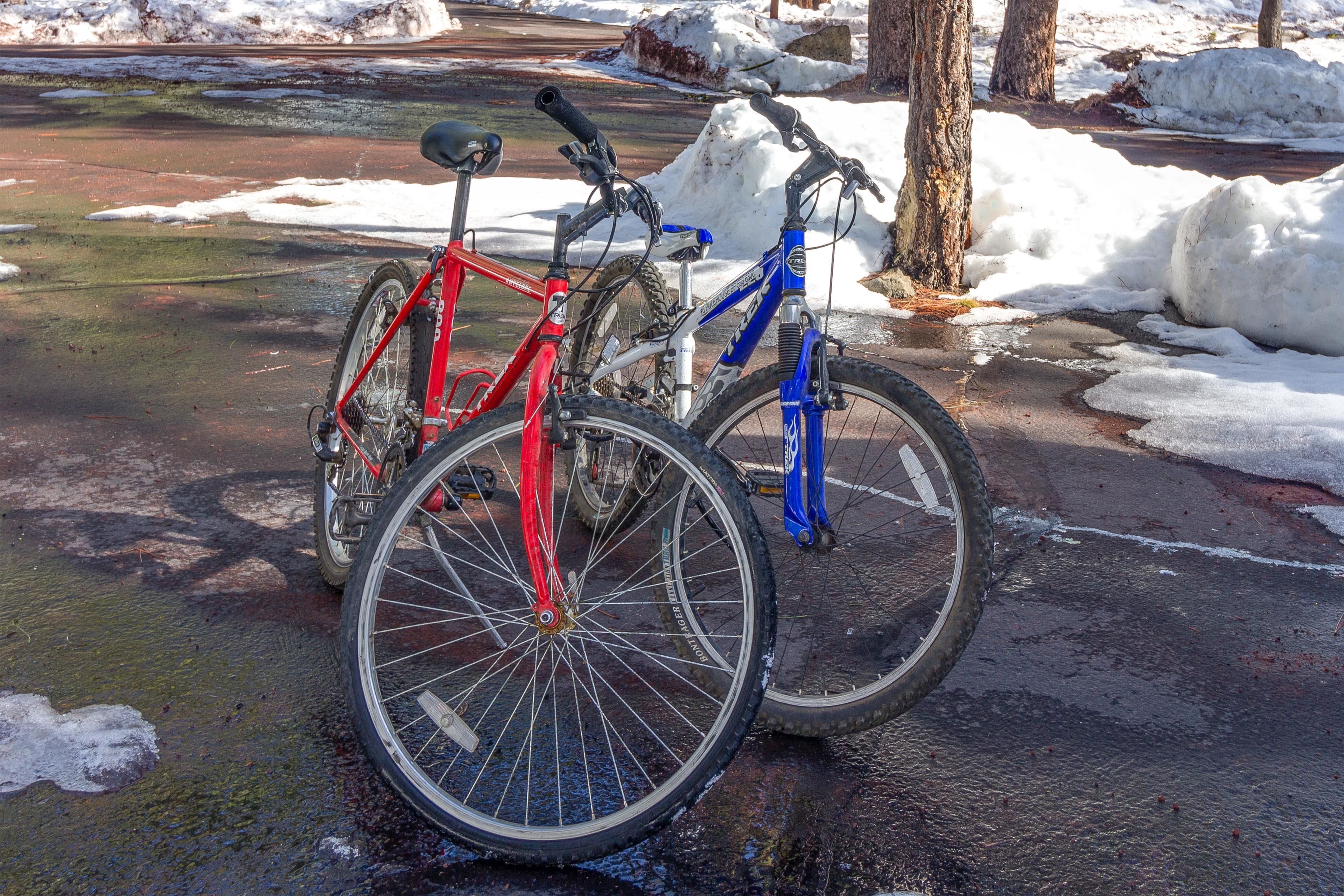 Dos bicicletas estacionadas cerca de una zona nevada con un árbol y un arroyo al fondo.