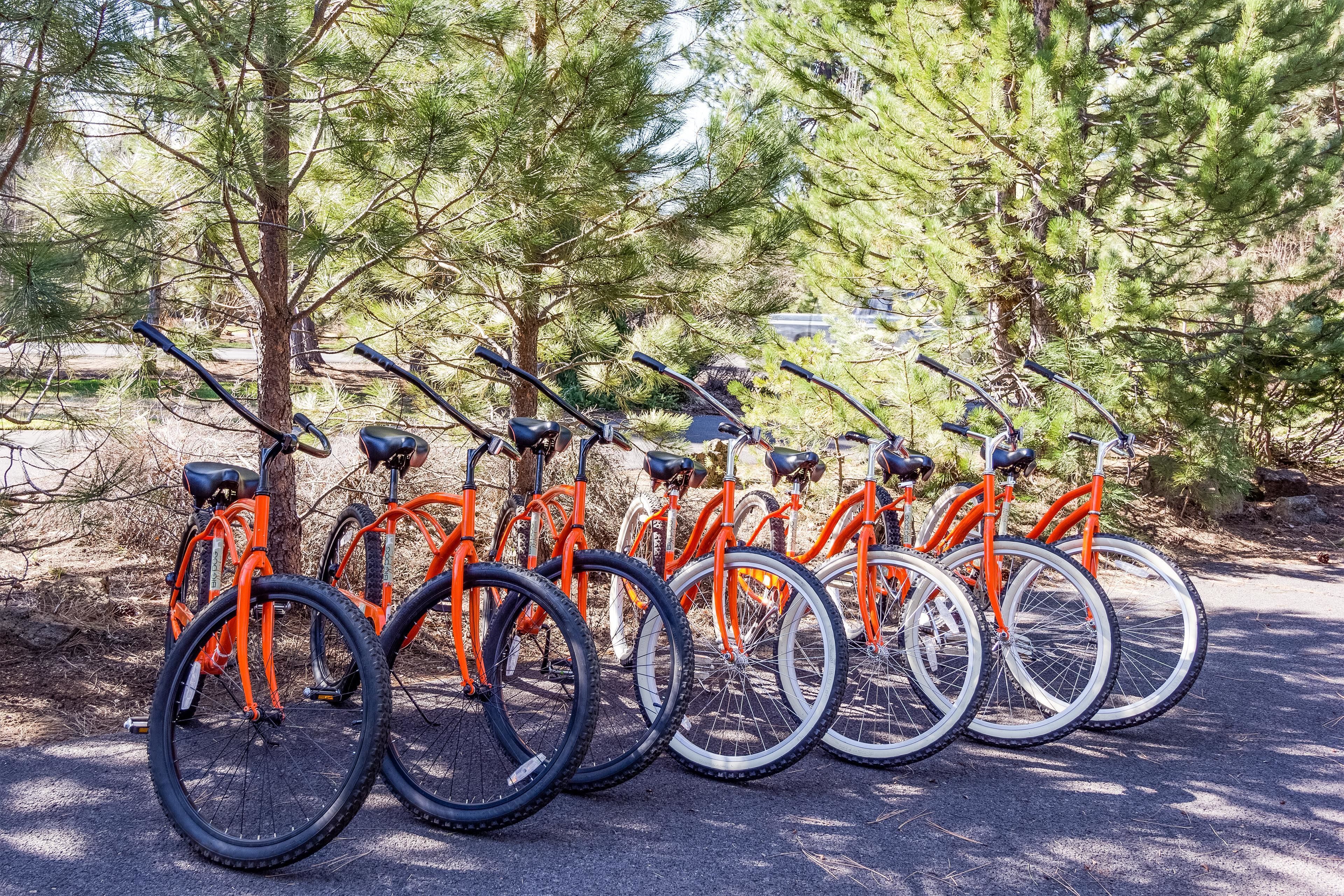 A row of orange bicycles parked outdoors, surrounded by trees.