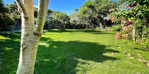 A grassy backyard with a tree, a wooden fence, and flowering plants.