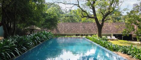 A rectangular swimming pool with a tiled deck, surrounded by lush greenery and trees.