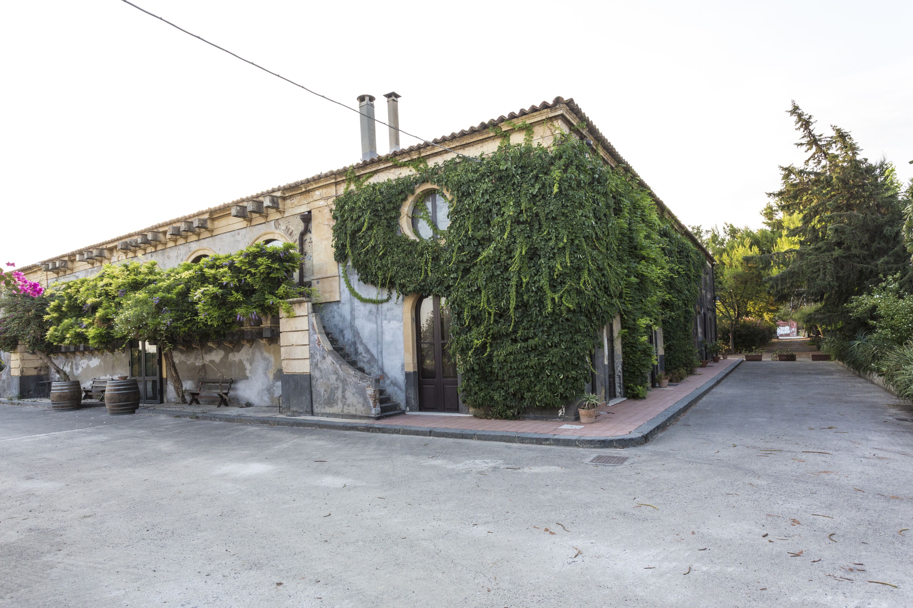 Foto - Tenuta del Gelso