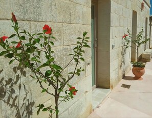 A stone building facade with a narrow entrance and a potted plant on the right. - La Trottoria (Otranto)
