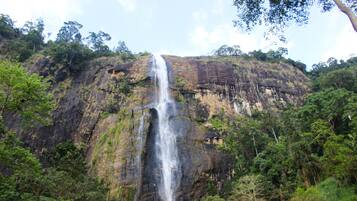 Une cascade se déversant le long d’une falaise rocheuse, entourée d’une végétation luxuriante.