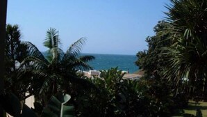 Vista de una playa con palmeras y un cielo despejado.