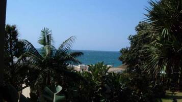 Pemandangan dari properti