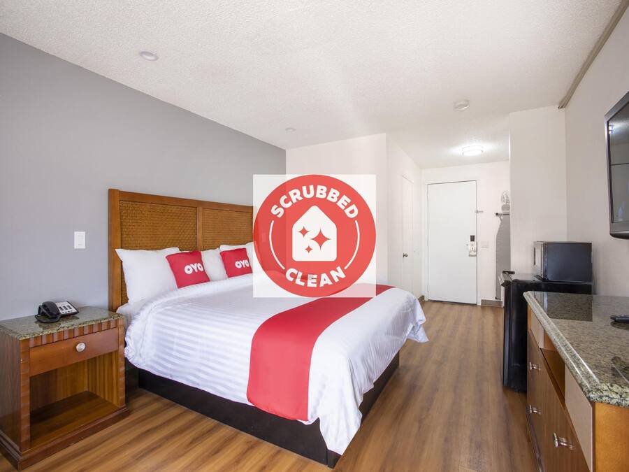 Camera, 1 letto king | Una scrivania, ferro/asse da stiro, Wi-Fi gratuito, lenzuola
