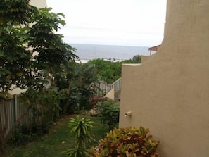A view of a garden with a variety of plants and a building with a beige exterior.