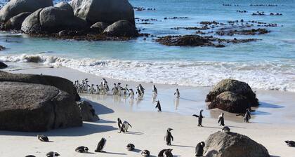 Boulders Beach House