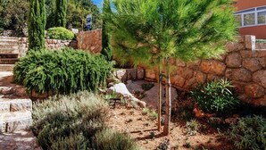 A garden with a variety of plants, including a pine tree, a small tree, and a sign that reads "Aloe vera". - Apartment in Starigrad near the Sea (Starigrad Paklenica)