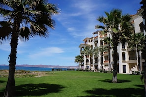 Deluxe Condo, 1 Bedroom, Ocean View, Poolside | Property grounds - Paraiso Del Mar Resort PDM B203 1 Bedroom Condo by Seaside La Paz (La Paz)