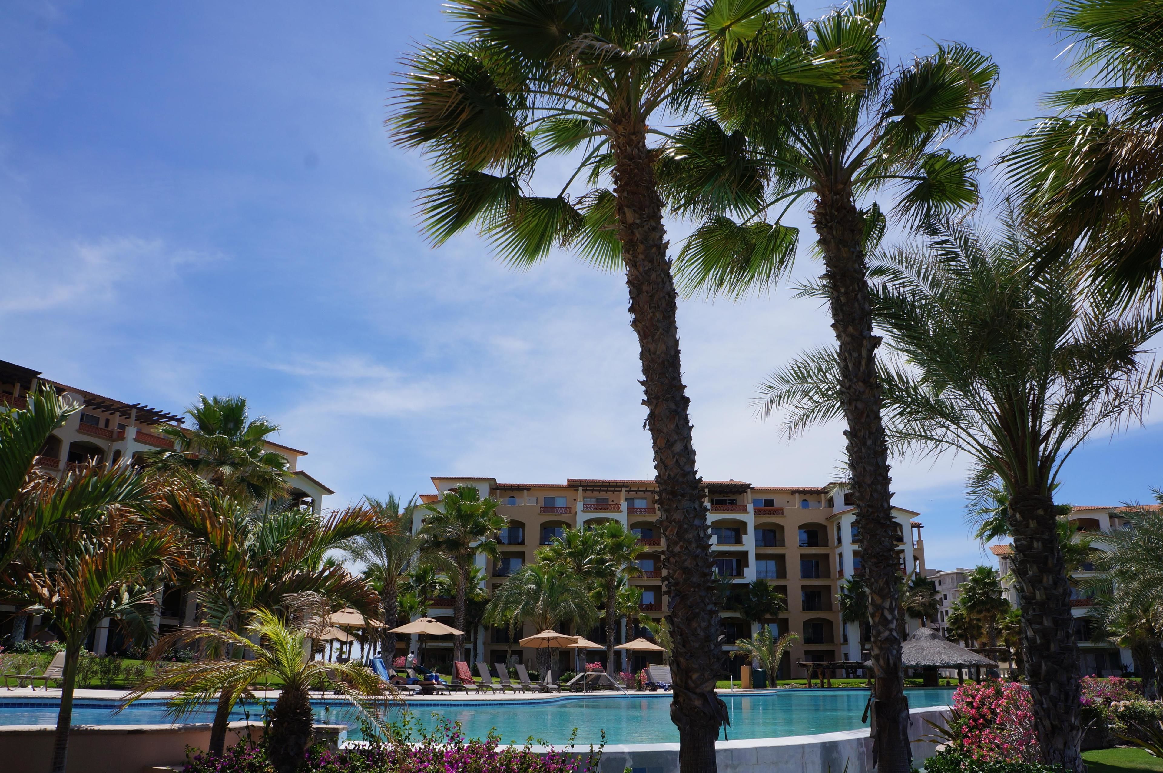 Deluxe Condo, 1 Bedroom, Ocean View, Poolside | Outdoor pool