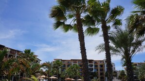 A resort with a swimming pool surrounded by palm trees and lounge chairs. - Paraiso Del Mar Resort PDM B203 1 Bedroom Condo by Seaside La Paz (La Paz)