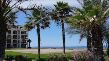 Condo Deluxe, 1 habitación, vista al océano, junto a la alberca | Áreas de la propiedad