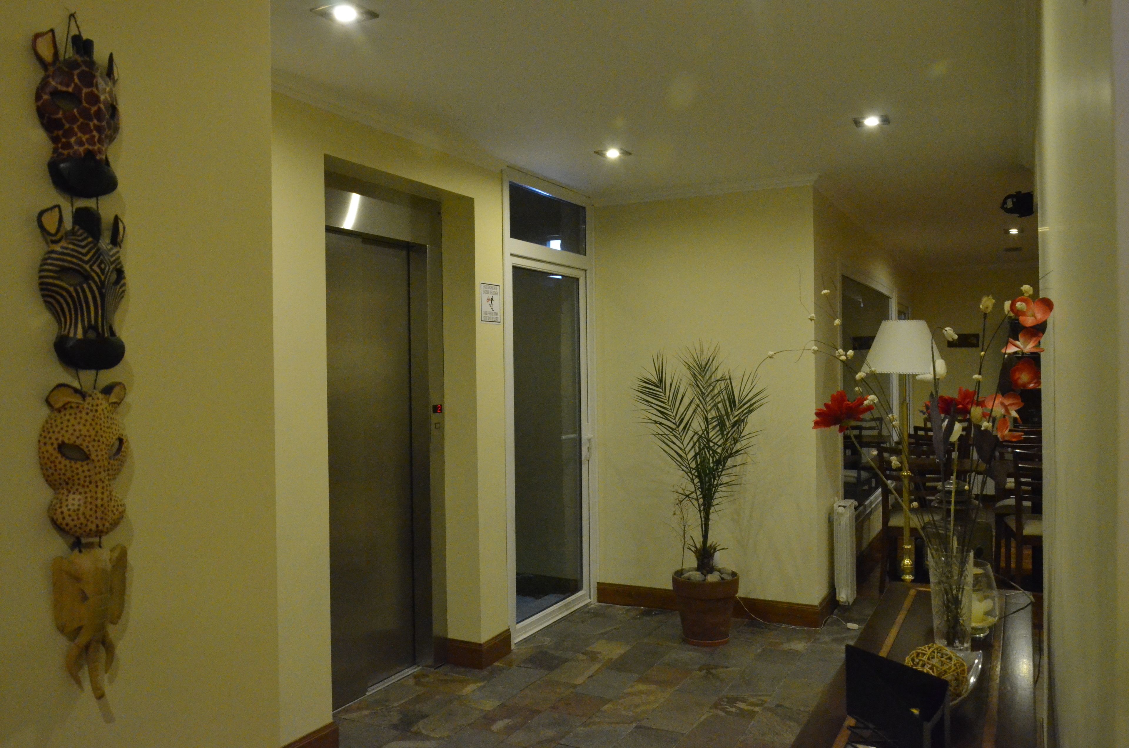 A hallway with a zebra mask, a potted plant, and a table with flowers.