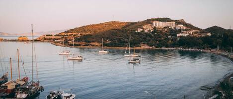 A marina with boats docked, a hill with buildings, and a clear sky.