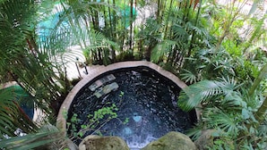 Une fontaine circulaire en pierre, entourée d’une végétation luxuriante.