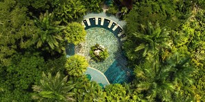 An aerial view of a circular pool surrounded by lush greenery, with a clear blue center. - Paradise Hot Springs - Thermal Water & Volcano Views (La Fortuna)