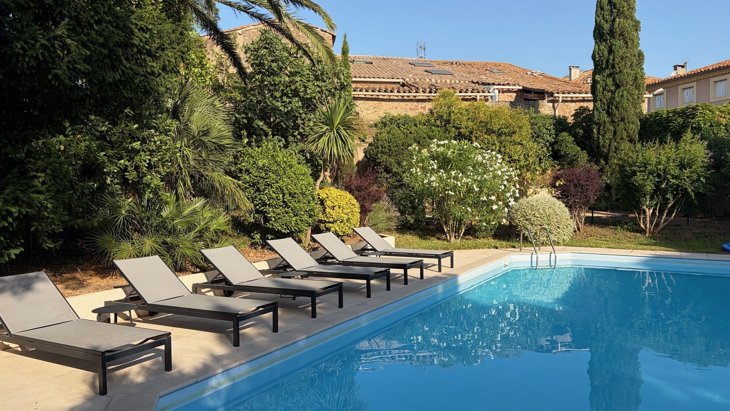 A swimming pool with lounge chairs and a variety of trees and shrubs in the background.