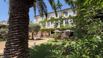 A courtyard with a palm tree, a building with blue shutters, and outdoor seating.