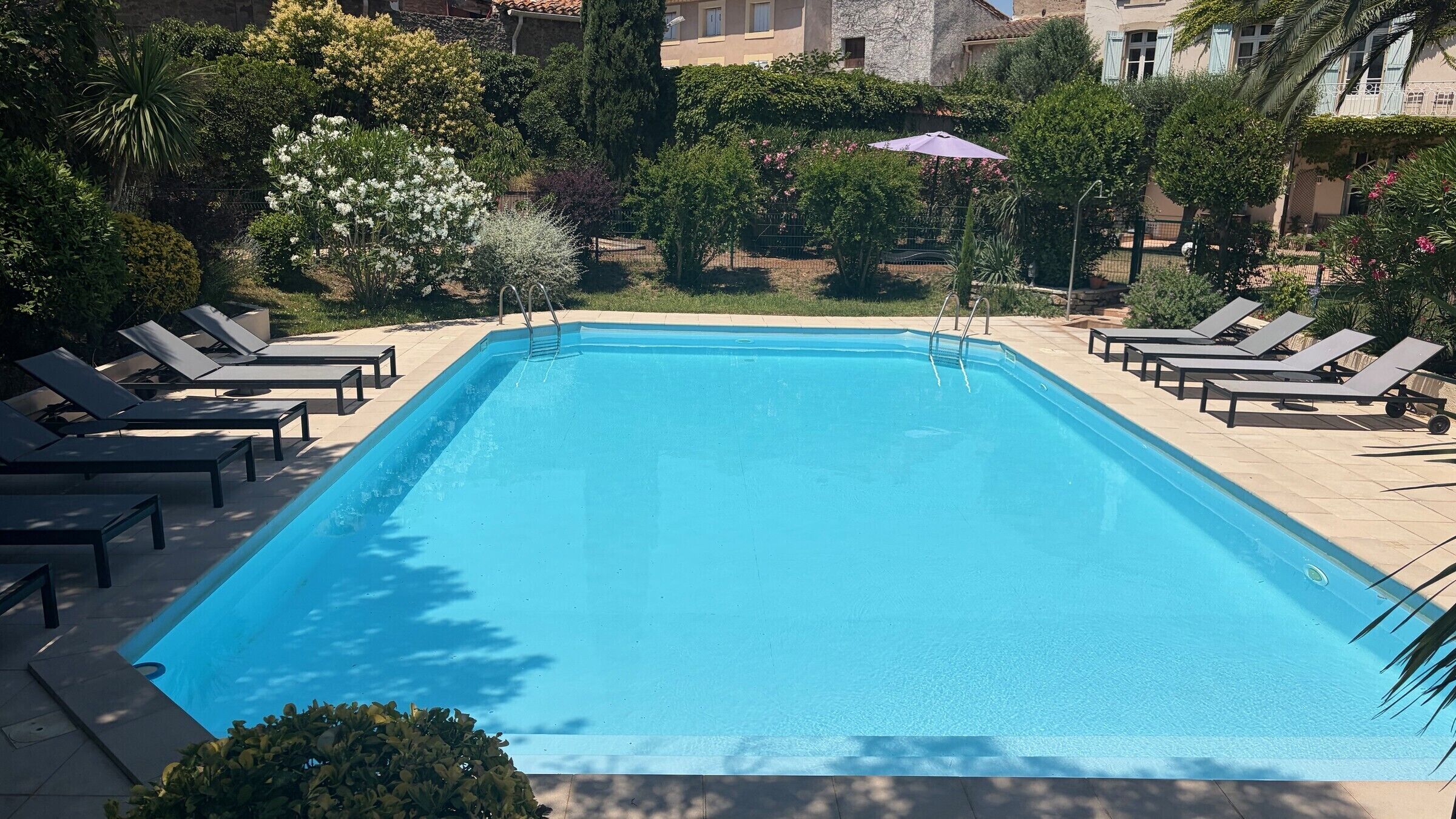 A rectangular swimming pool with a clear blue surface, surrounded by lounge chairs and a variety of greenery.