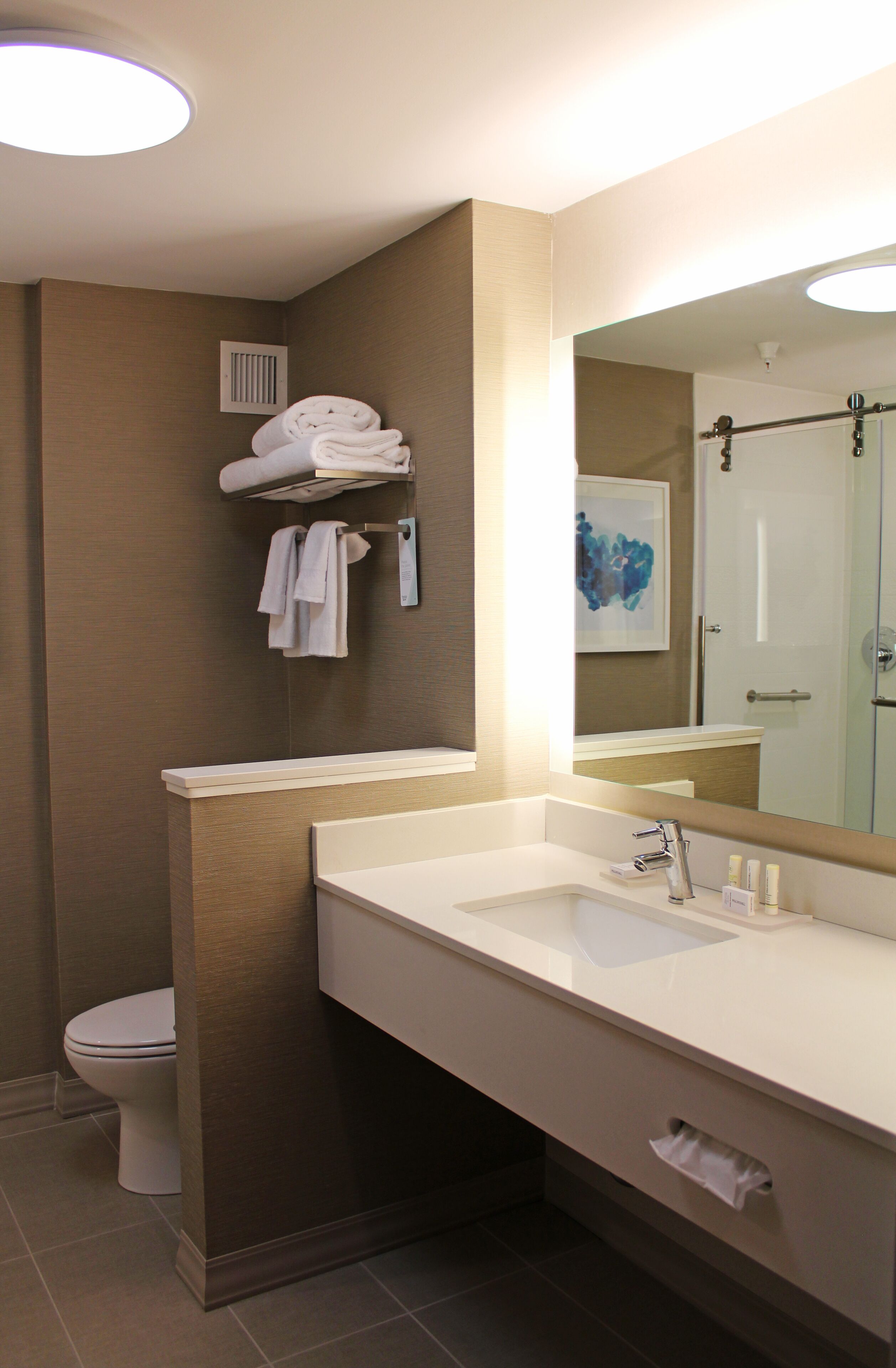 hair dryer, towels, soap, shampoo