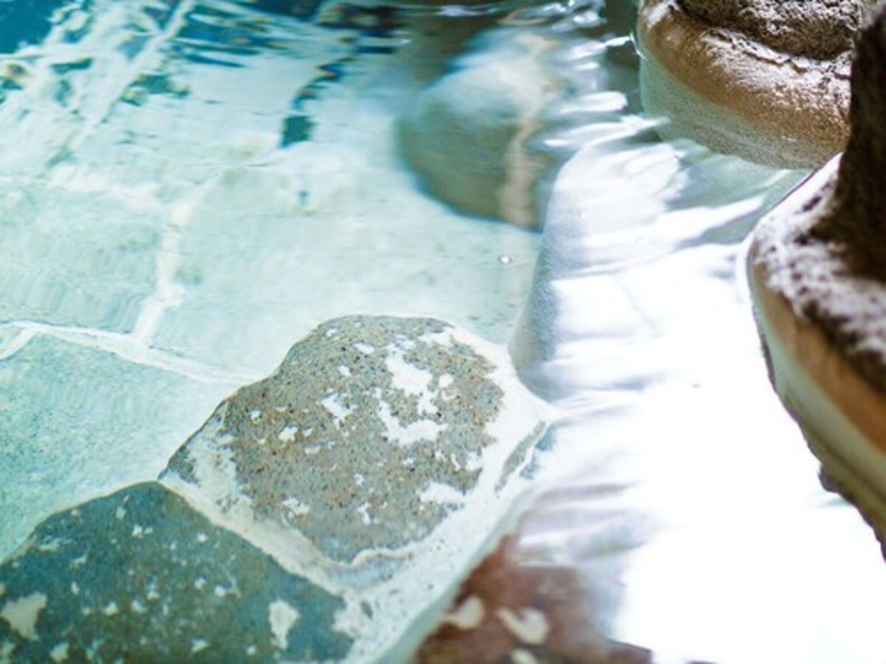 A clear view of a pool with visible rocks and a stone edge.