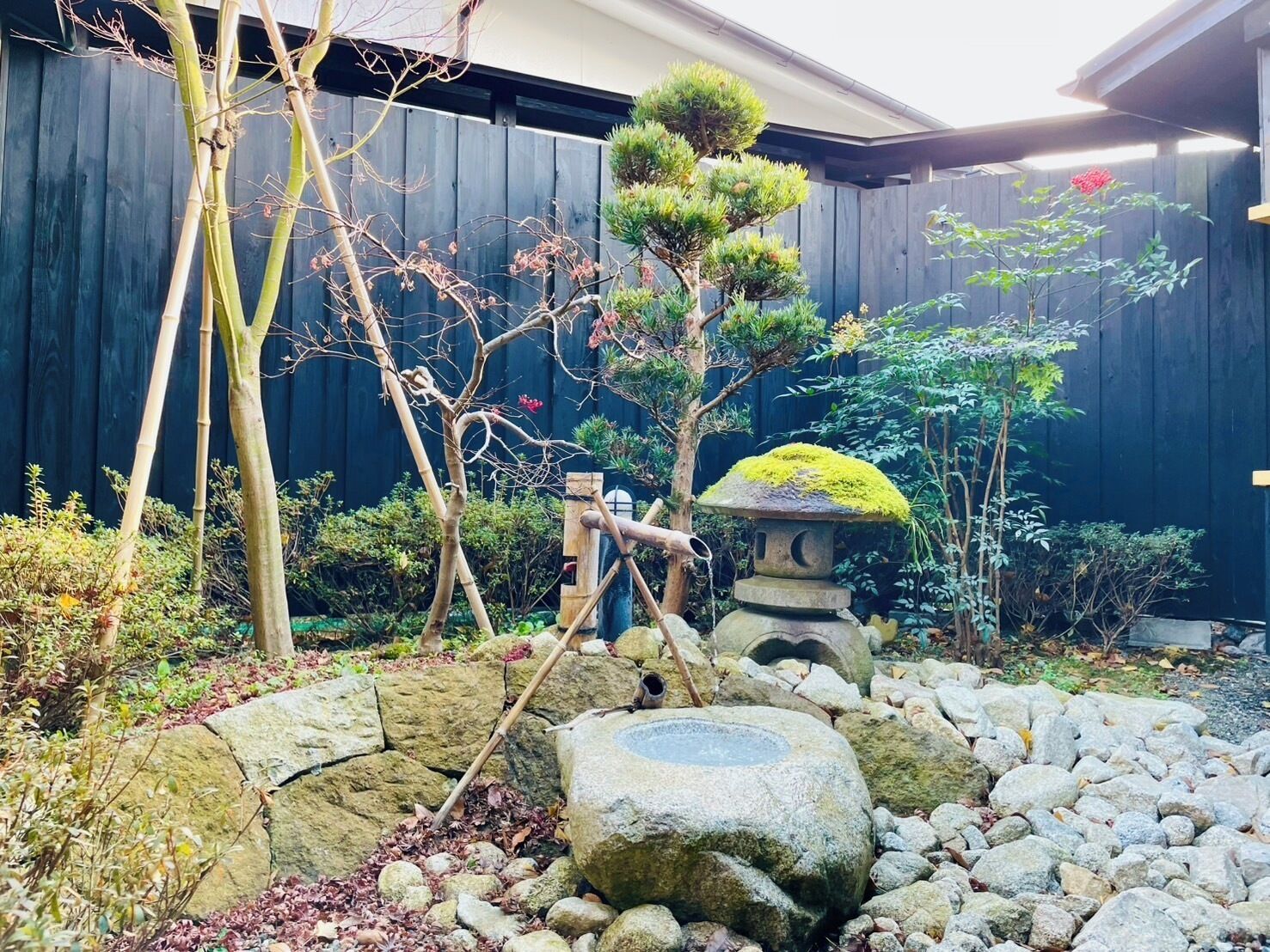 A Japanese garden with a rock arrangement, a stone lantern, and various plants.