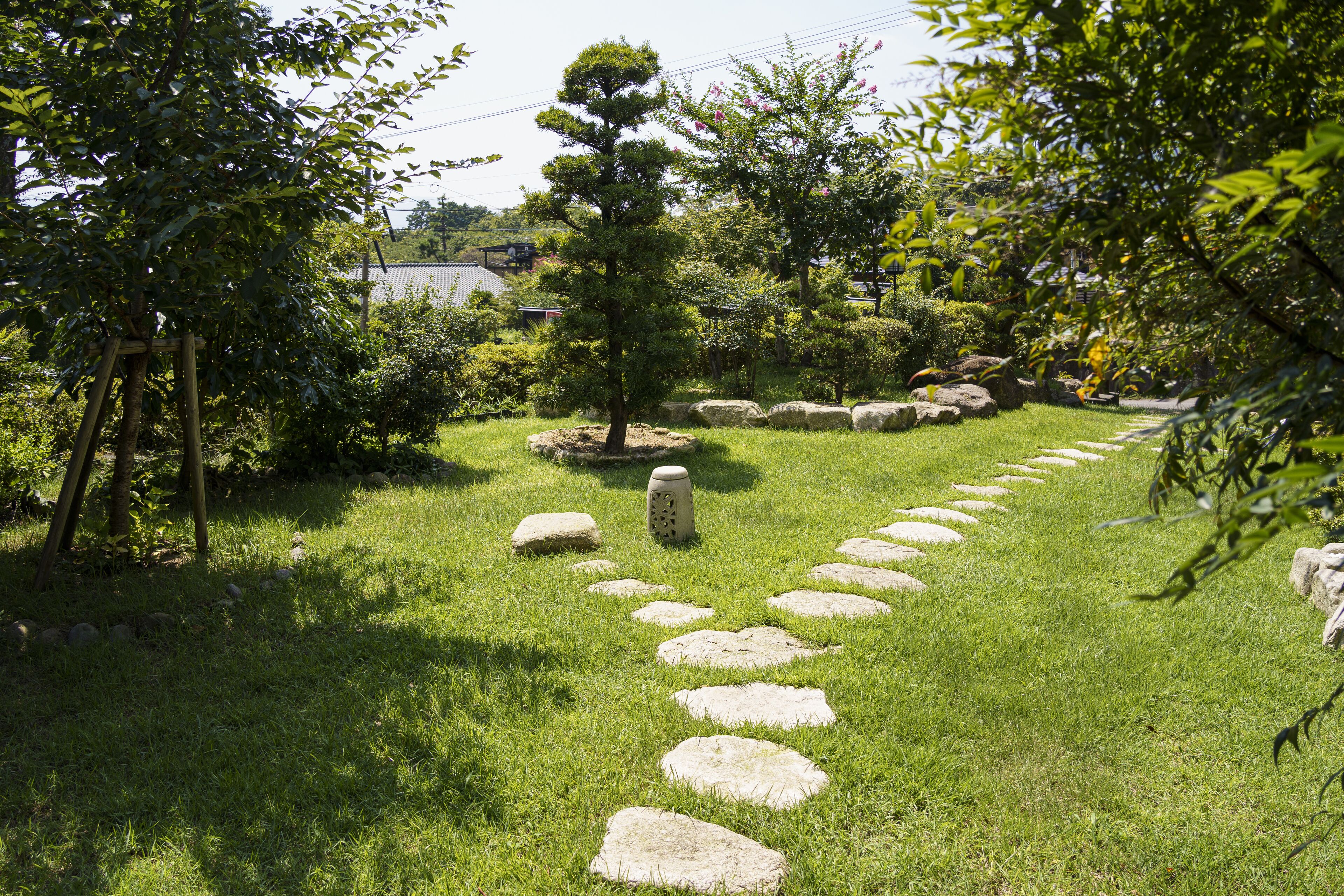 A garden with a stone path, a small tree, and various shrubs.
