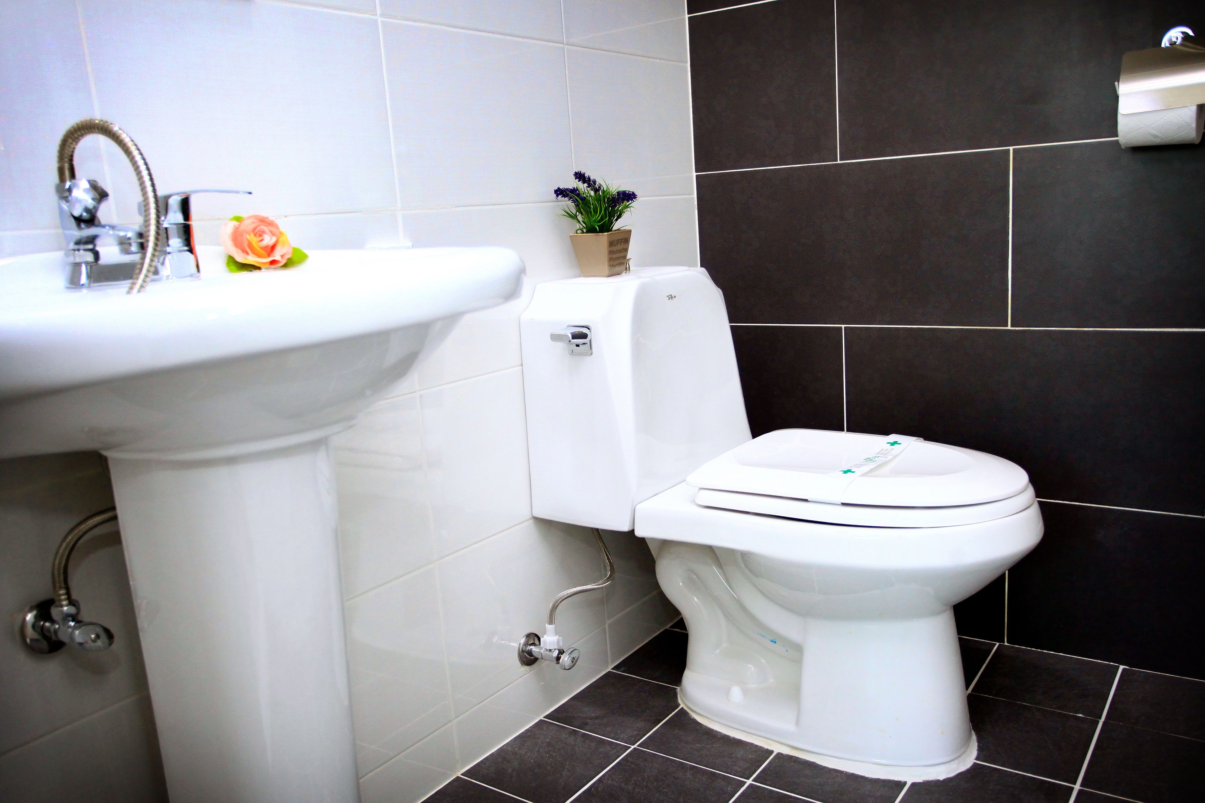 shower, free toiletries, towels, toilet paper