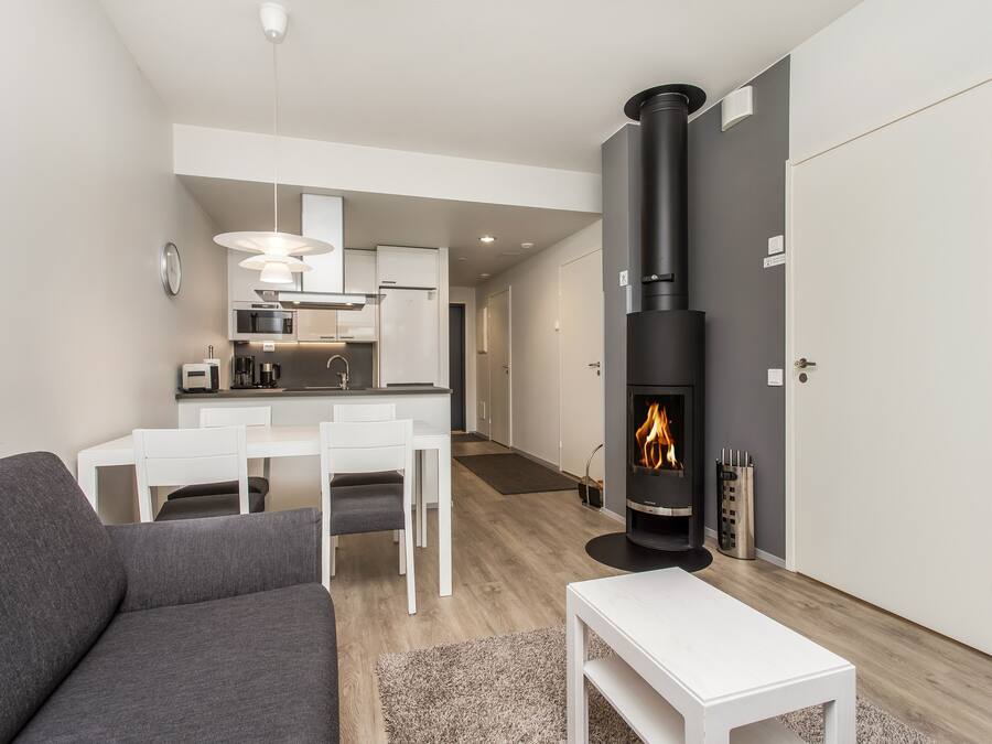 Flat-screen TV, fireplace