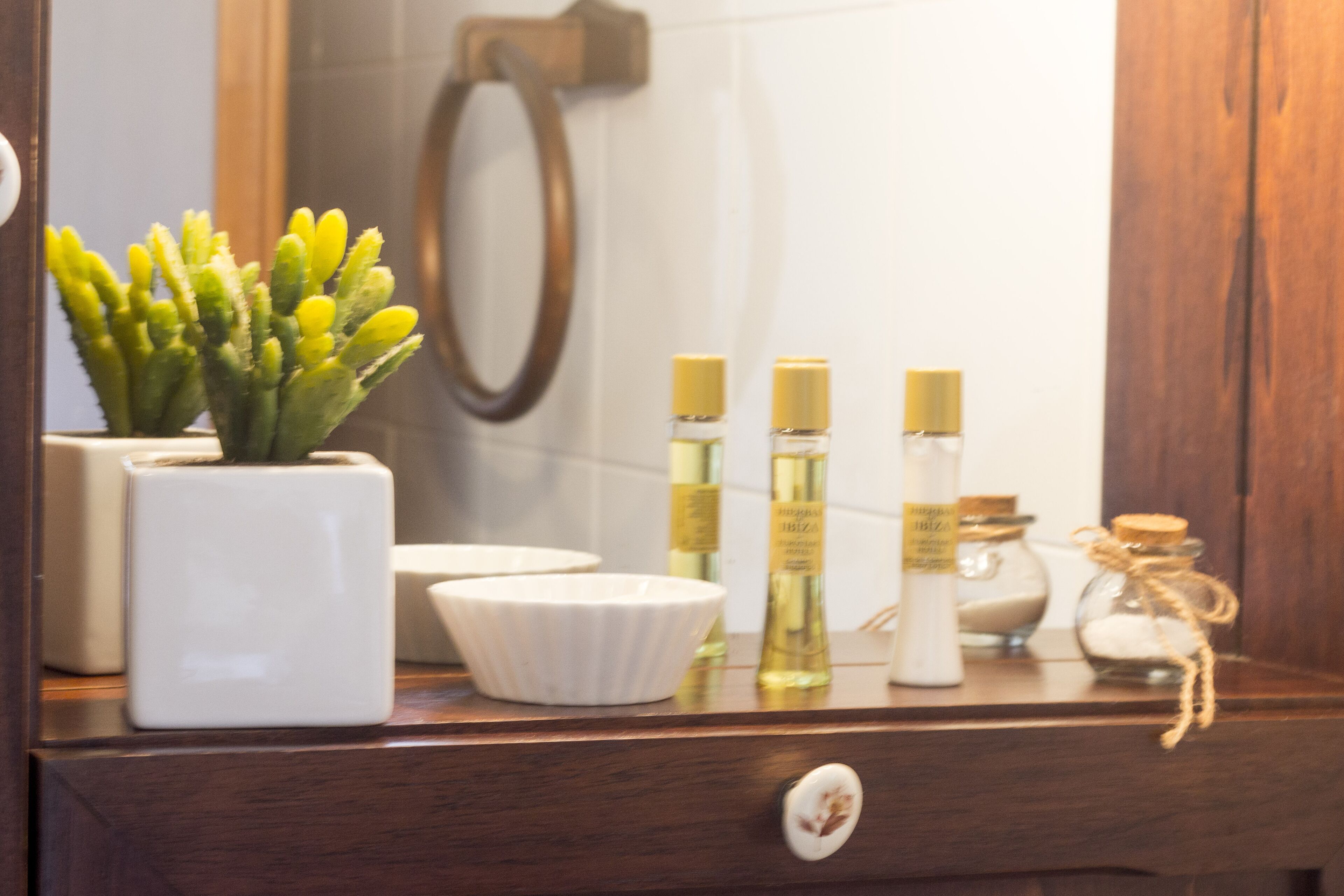 A bathroom vanity with a mirror, a potted plant, a bowl, and toiletries.