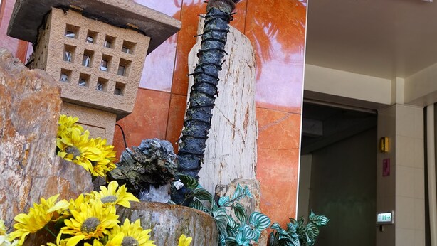 Um jardim interno decorativo com uma palmeira, girassóis e diversas plantas em vasos.