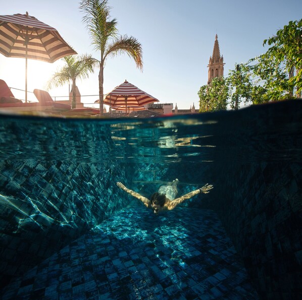 Outdoor pool, pool loungers - Hotel Cappuccino - Palma (Palma de Mallorca)