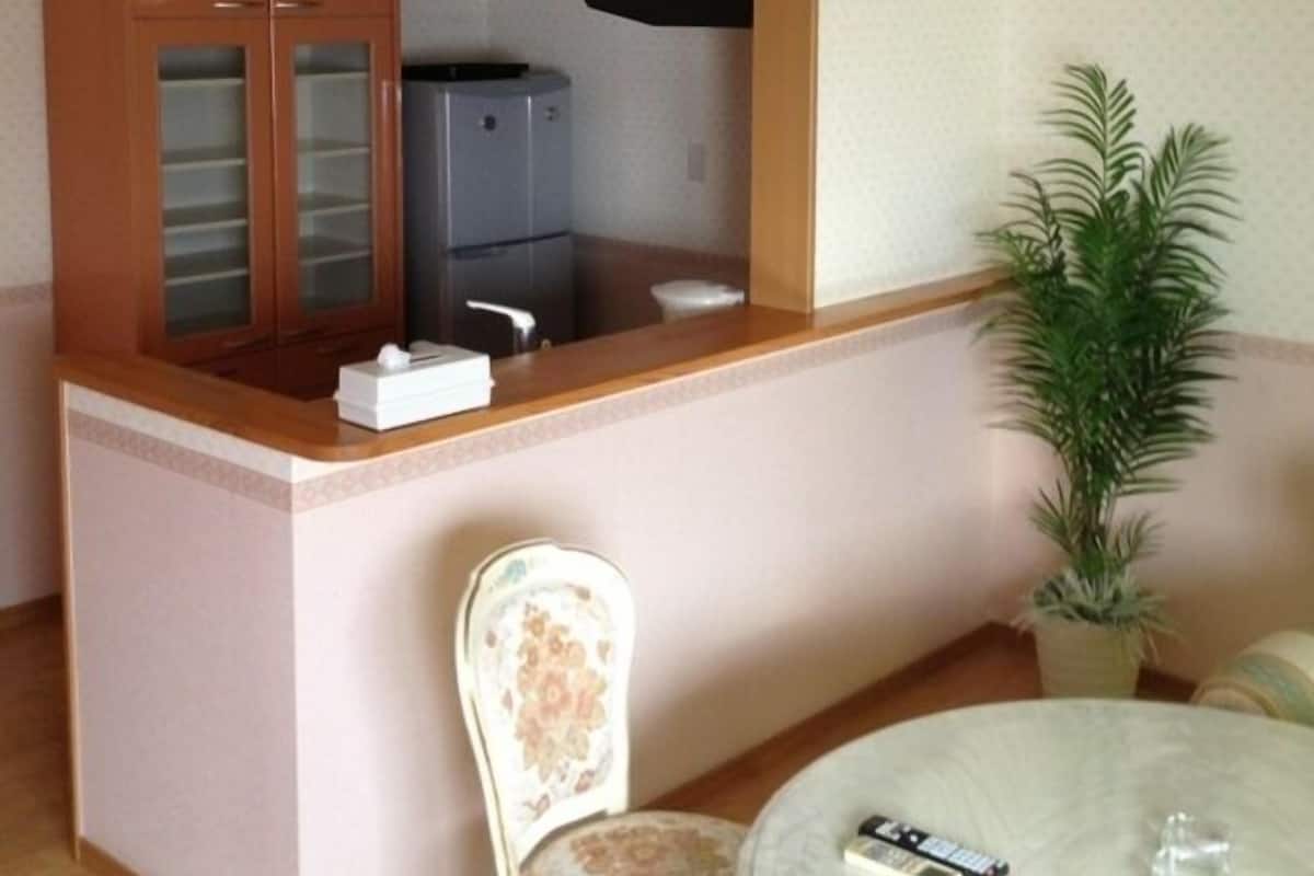 A compact living space with a kitchenette, a dining area with a round table, a floral chair, and a potted plant.